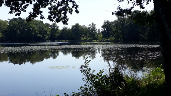 Etang de Gros