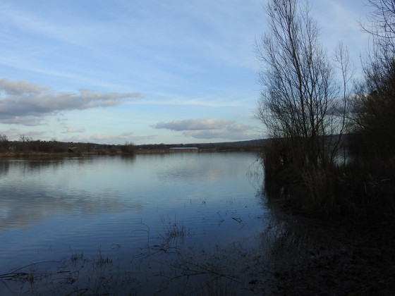 Etang de Jumièges