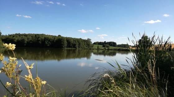 Etang de la Baisse