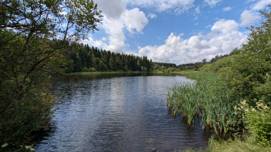 Etang de la Baume