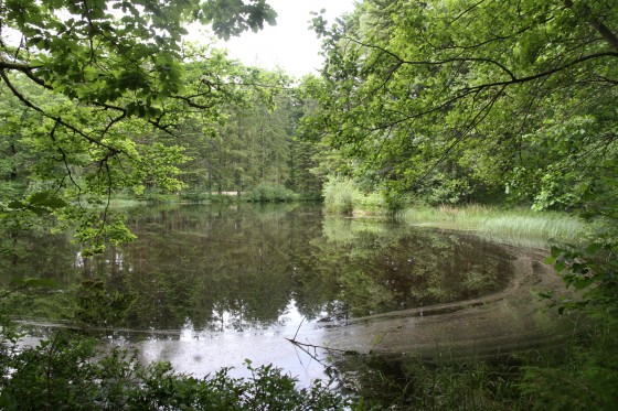 etang de la Besace