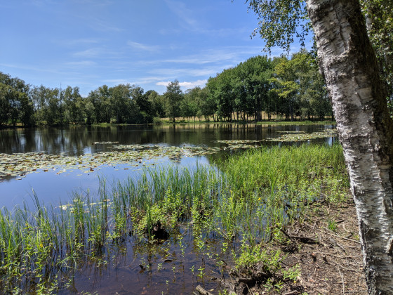 Etang de la Carpe Rôtie