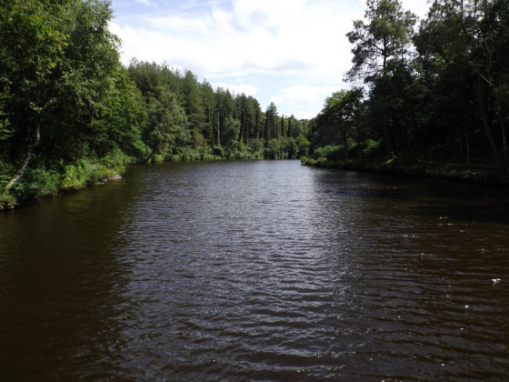 Etang de la Chambre au Loup