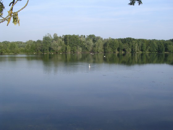 Etang de la Charette