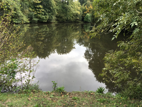 Étang de la Cholière