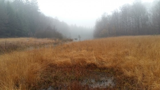 Etang de la Comtesse