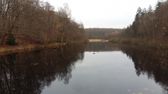 Etang de la Comtesse