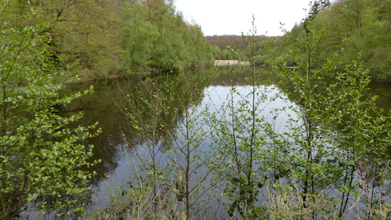Etang de La Comtesse