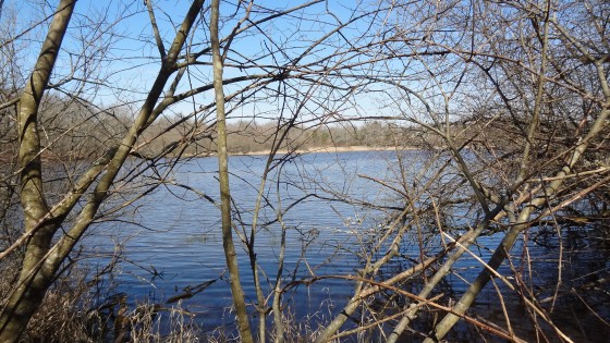 Etang de la Coudre