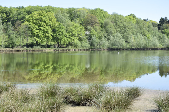 Etang de la courbe chauss&eacute;e