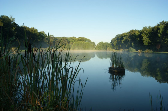 Etang de la Galette