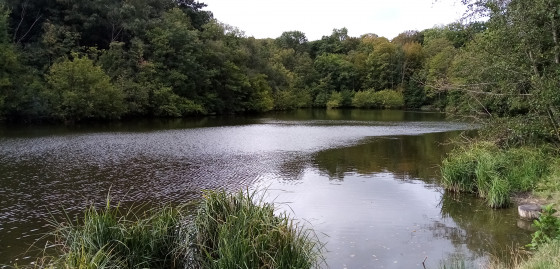 Étang de la Garenne