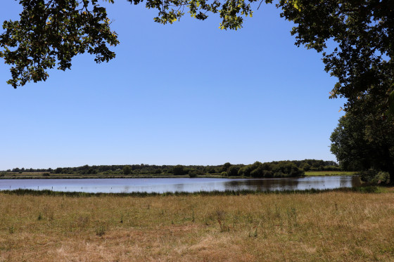 Étang de la Gâtevine près de Rosnay