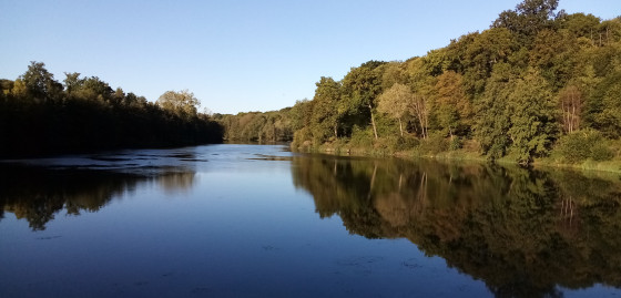 Étang de la Geneste Étang de la Geneste