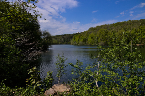Etang de la Geneste