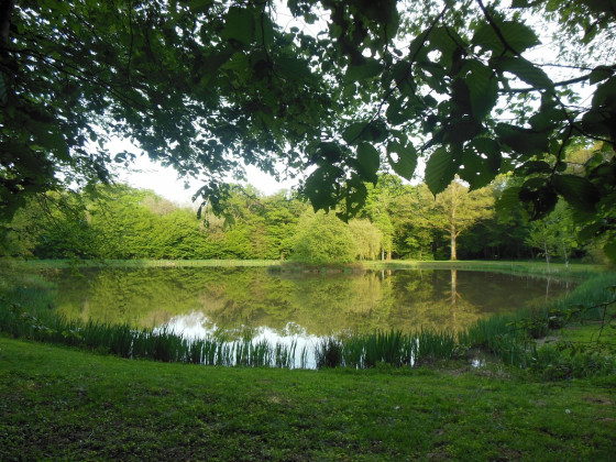 Etang de la Gravelle