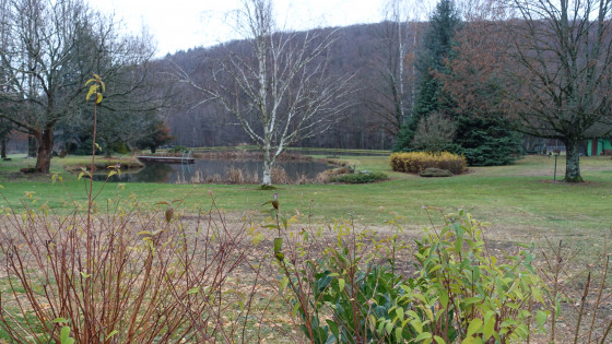 Etang de la Marni&egrave;re vers la passerelle