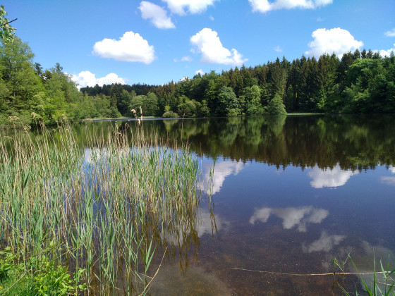 Etang de la molière