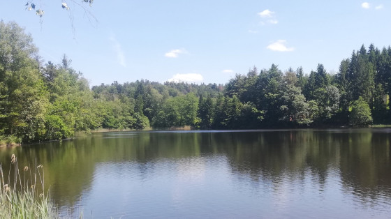 &Eacute;tang de la Molli&egrave;re