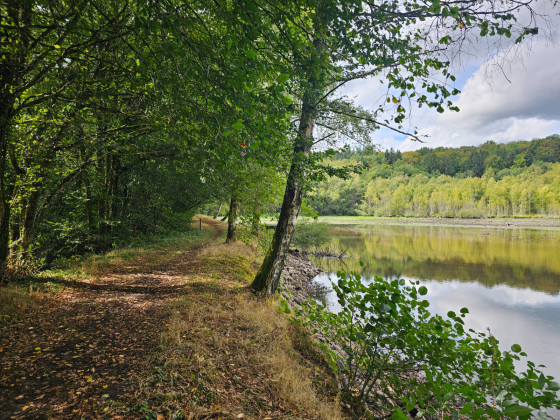 Etang de la neuvie
