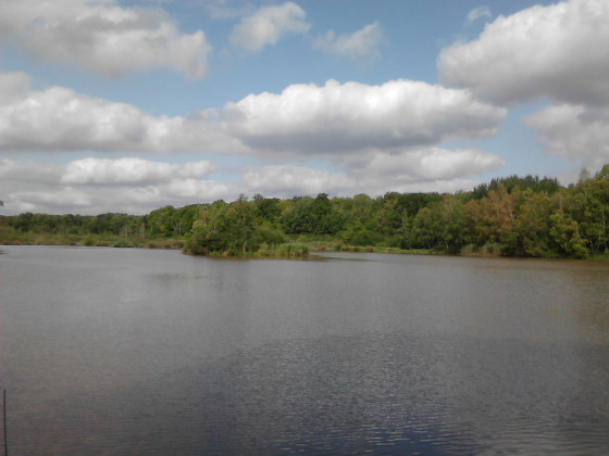 Etang de la Neuville