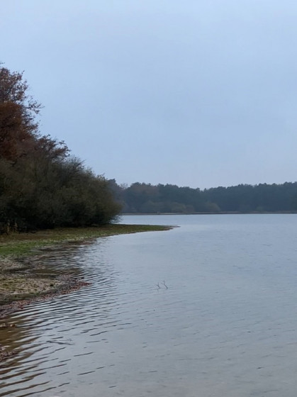 Etang de la Noue Mazone