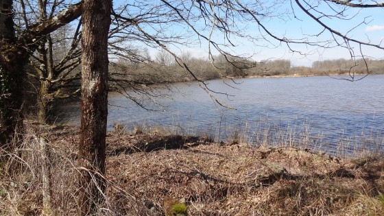 Etang de la Pillardi&egrave;re