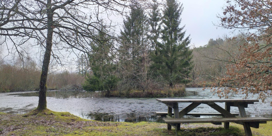 Etang de la Réserve Naturelle d\'Orti