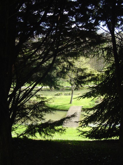 Etang de la Roche Bourdeil