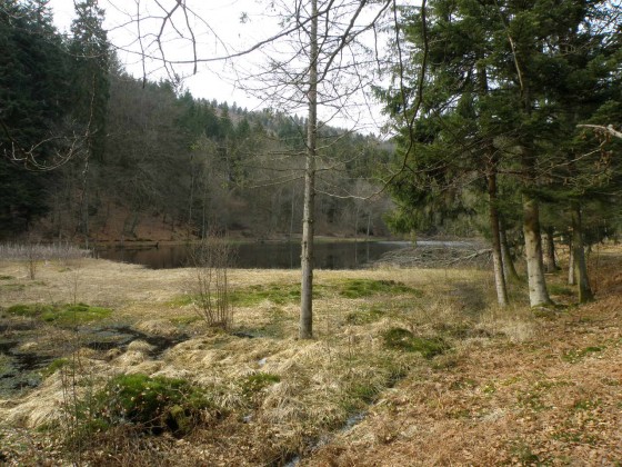 étang de la huchère