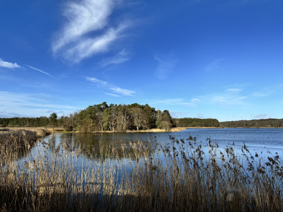 Étang de la vallée