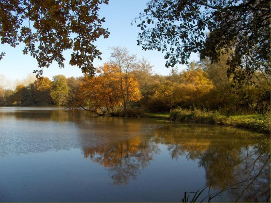 Etang de la Verne