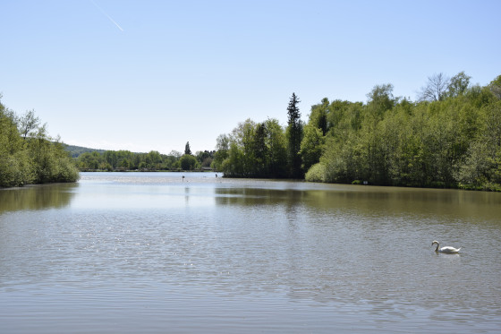 Etang de la V&eacute;ronne