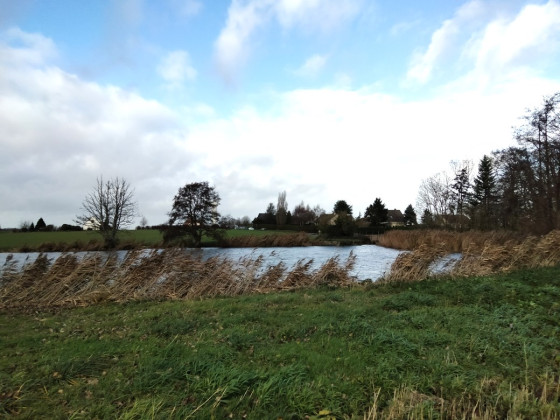 Etang de Lamblore
