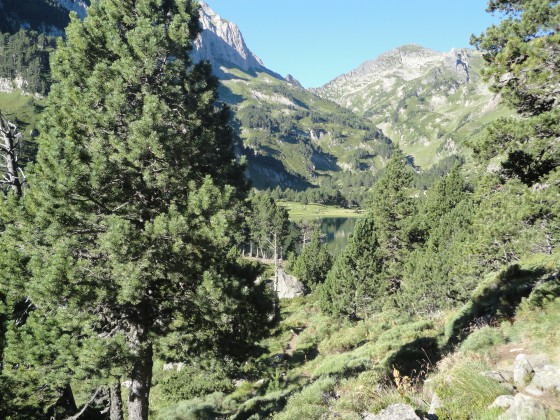 Etang de Laurenti