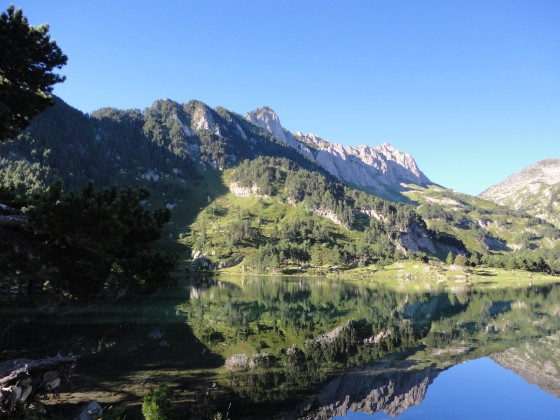 Etang de Laurenti