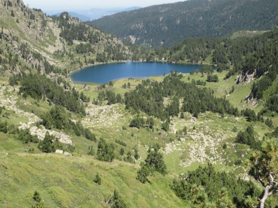 Etang de Laurenti