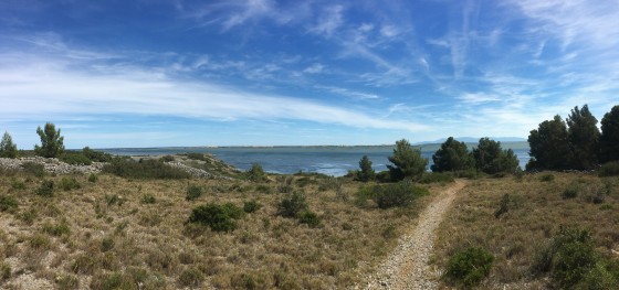 Étang de Leucate