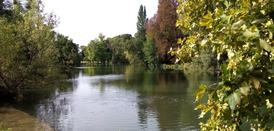 Étang de Longchamp Étang de Longchamp
