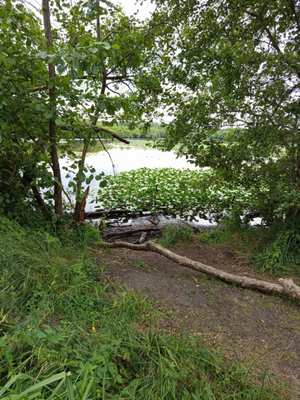 ETANG DE LOUDON