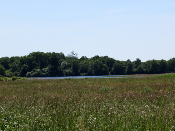 Etang de Lys-St-Georges au loin