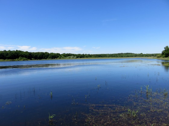 Etang de Lys-St-Georges