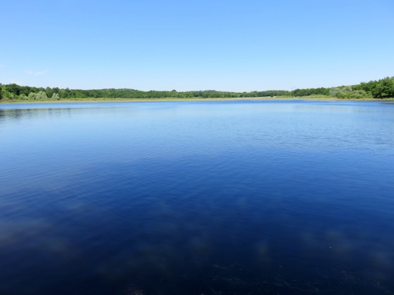 Étang de Lys-St-Georges