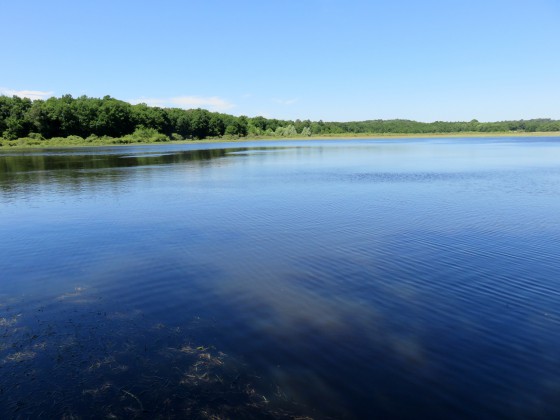 Étang de Lys-St-Georges