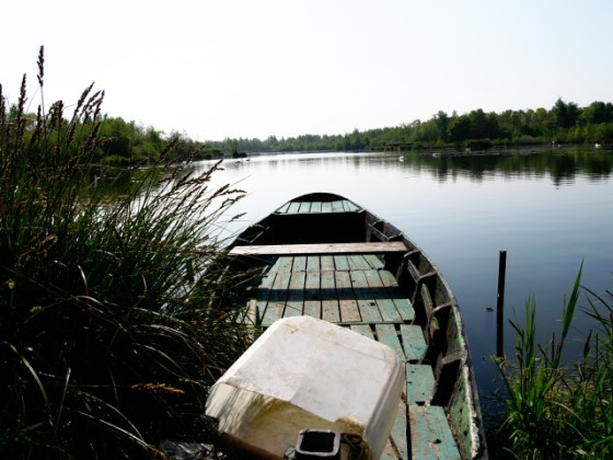 Etang de Mareuil caubert