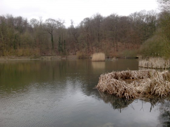 Etang de Meudon