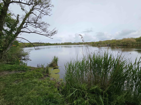 Etang de Moïsan