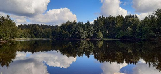 Etang de Mollière