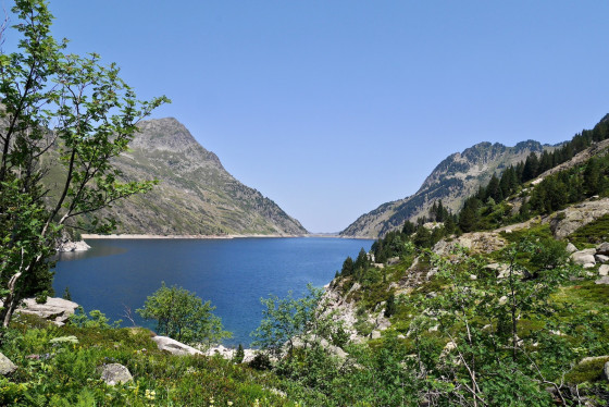 Étang de Naguille