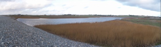 Etang de Nérizellec